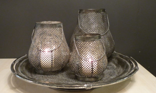 Zes weken huisshow bij De Tol Lisse vanaf 12 februari