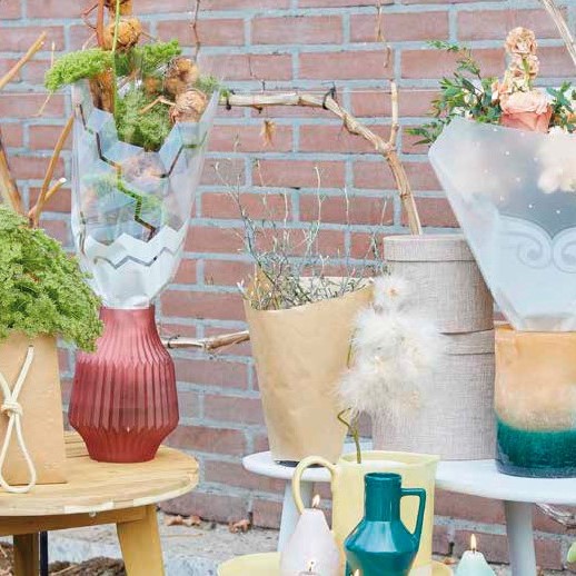 Van Dillewijn Group neemt Alflora over van Horticoop