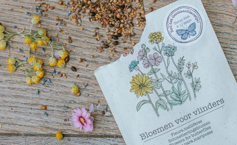 Dille & Kamille en Staatsbosbeheer werken samen om vlinders te beschermen