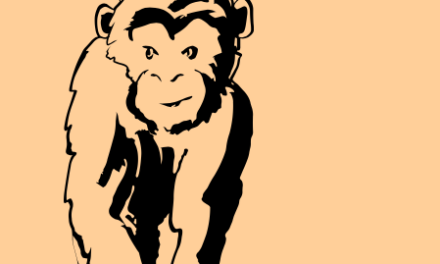 Zuiver Interior Group zet nieuwe koers in met Bold Monkey