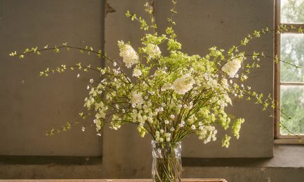 Silk-ka presenteert de nieuwe collectie voor 2026